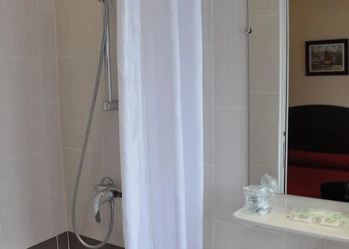 Hotel Grand De Turin 3*